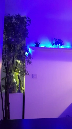 mario84luci 05-01-2020  Recorded Video Show