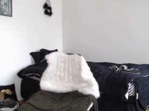 SilvioSEXY 27-01-2020  Recorded Video Porn