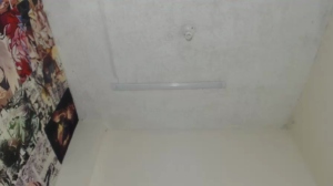 harriet_mann 29-01-2020  Recorded Video Toys