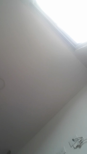 dalilacum69 30-01-2020 Download  Recorded Free