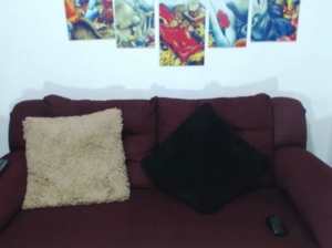 AliseyErick 02-02-2020  Recorded Video Toys