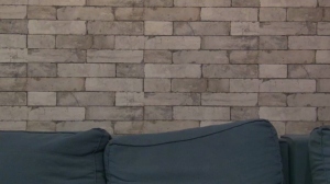 ErvinBloom 03-02-2020  Recorded Video Download