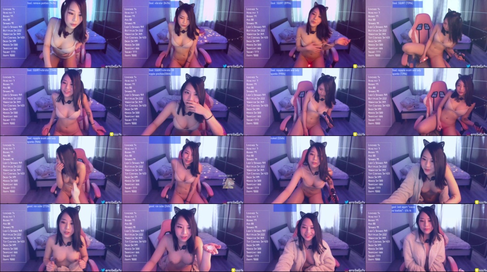 Reibelletv 04-02-2020 Webcam  Recorded Video