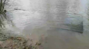 BlueEye_Girl 03-02-2020 Webcam  Recorded XXX