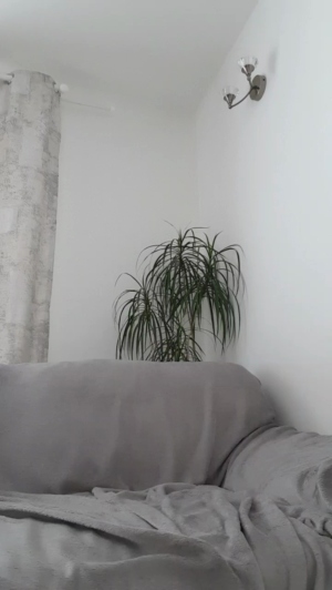 Mario84Luci 05-02-2020  Recorded Video Free
