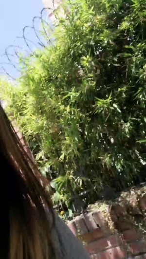 DanielaTwk  05-02-2020 Recorded Download