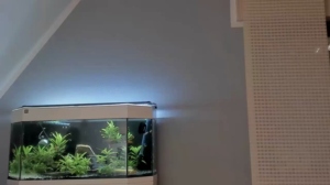 ronhill13 05-02-2020  Recorded Video Free