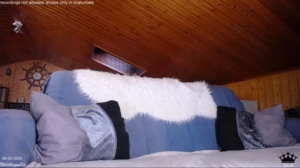 Wildtequilla  06-02-2020 Recorded Video