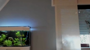 ronhill13 10-02-2020  Recorded Video Free