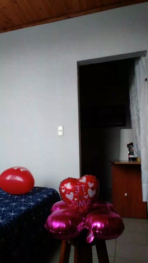 GarretCams 14-02-2020  Recorded Video Topless