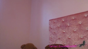 Xxx0princess  15-02-2020 Recorded Porn