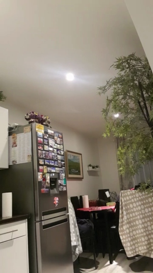 Mario84Luci 18-02-2020  Recorded Video Show