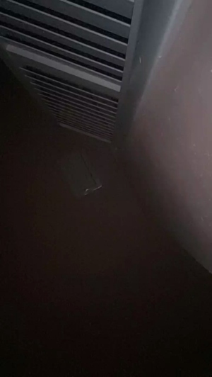 Alexjt104 22-02-2020  Recorded Video Toys