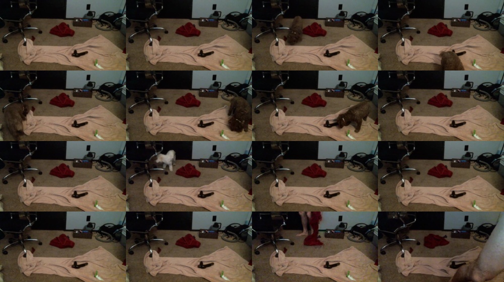 Shavedupkupple 26-02-2020 Topless  Recorded Show