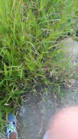 Synbaherrera 04-03-2020  Recorded Video XXX