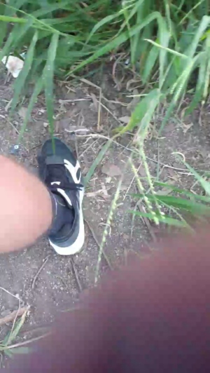 Synbaherrera 05-03-2020  Recorded Video Toys
