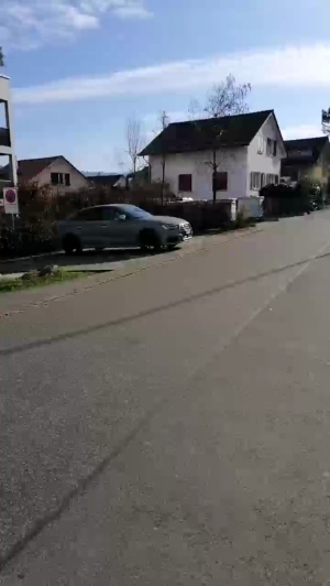 LUEGnur 08-03-2020  Recorded Video Toys