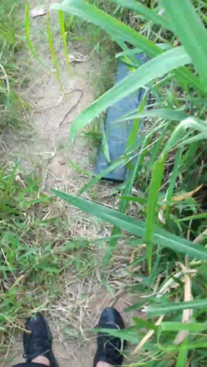 Synbaherrera 09-03-2020  Recorded Video Toys
