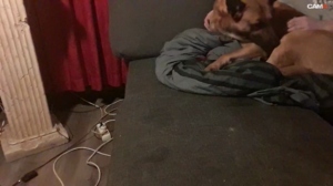 mikeynl2019 13-03-2020  Recorded Video Download