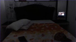 allan_charlie 14-03-2020  Recorded Video Webcam