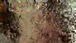Honey_And_B  14-03-2020 Recorded Download