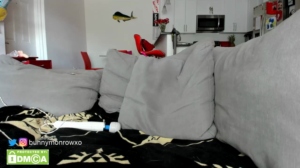 Bunnymonrow  16-03-2020 Recorded Toys