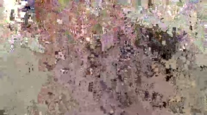 Trippinit  21-03-2020 Recorded Cam