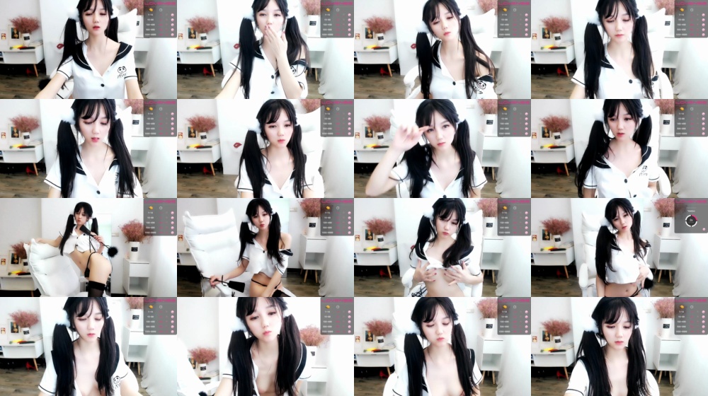 Cnswag 28-03-2020 Webcam  Recorded Toys