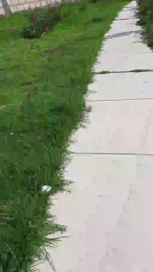 Gatitasoy  01-04-2020 Recorded Video