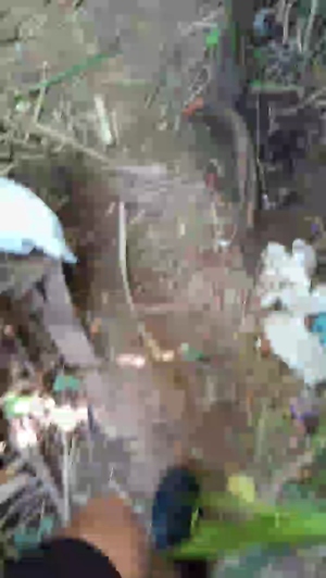 Synbaherrera 03-04-2020  Recorded Video Toys