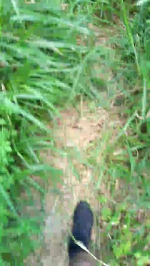 Synbaherrera 03-04-2020  Recorded Video Download