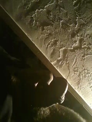 Alexjt104 04-04-2020  Recorded Video Cam