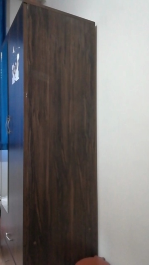 Trunksforfun 05-04-2020  Recorded Video Download