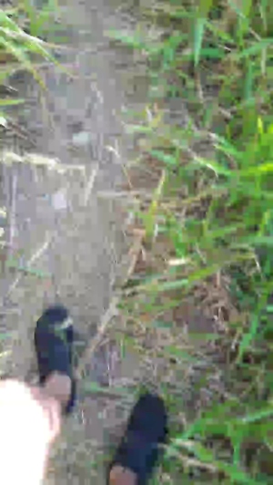 Synbaherrera 05-04-2020  Recorded Video Toys