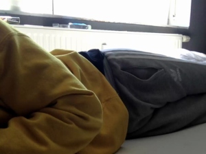 Lust 07-04-2020  Recorded Video XXX