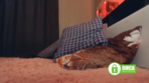 Fgupno 07-04-2020 Porn  Recorded Show