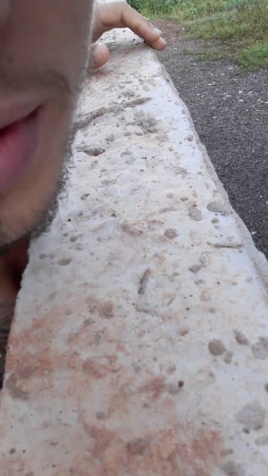 Lobooo19cm 11-04-2020  Recorded Video Toys