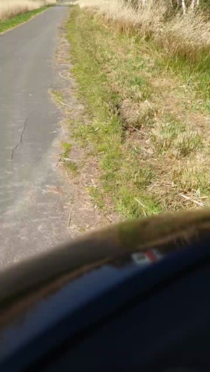Geil32hb 12-04-2020  Recorded Video Topless