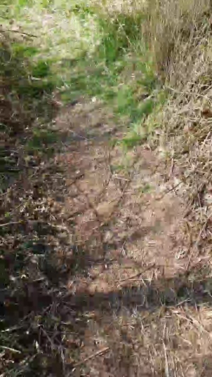 Geil32hb 12-04-2020  Recorded Video Free