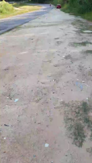 Synbaherrera 12-04-2020  Recorded Video Download