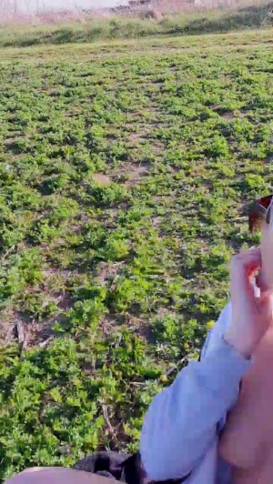 bunny_vic 16-04-2020 Video  Recorded Toys