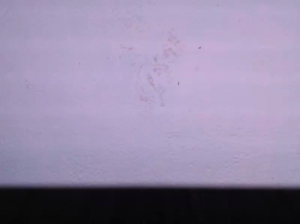 fenicerossa 20-04-2020  Recorded Video Toys