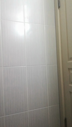 Trunksforfun 22-04-2020  Recorded Video Webcam