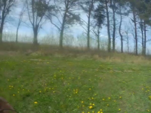 mikarcum 24-04-2020  Recorded Video Cam