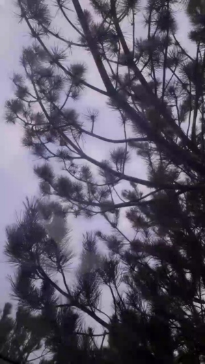ustad19 27-04-2020  Recorded Video Nude
