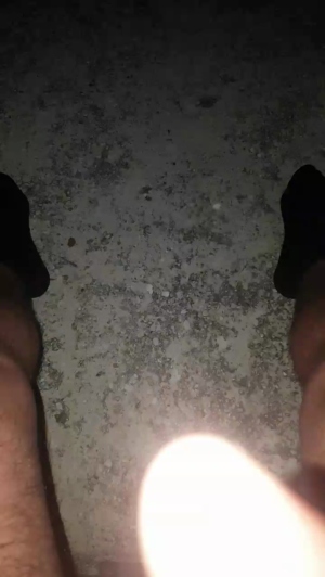 stipe 30-04-2020  Recorded Video Porn