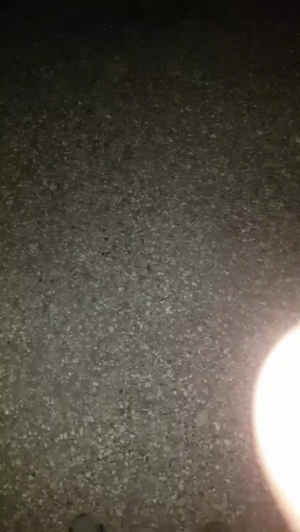 stipe 30-04-2020  Recorded Video Cam