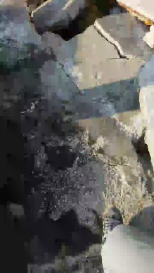 stipe 02-05-2020  Recorded Video Naked