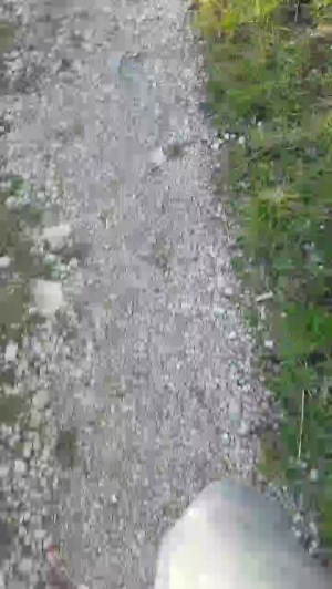 stipe 02-05-2020  Recorded Video Topless