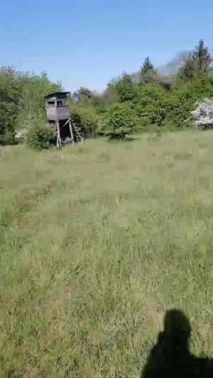 BlueEye_Girl 07-05-2020 Video  Recorded XXX